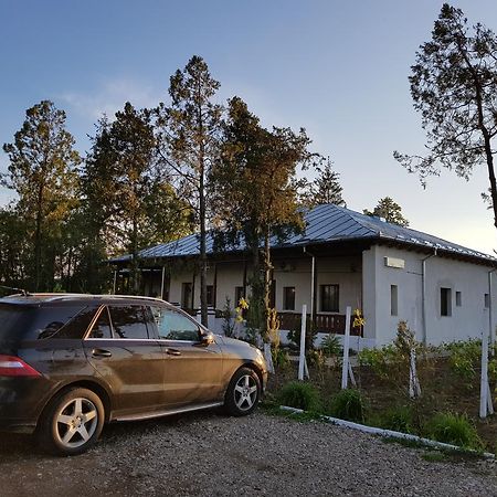 Conacul Balta Alba Otel Dış mekan fotoğraf